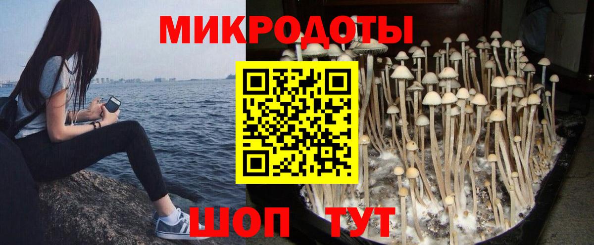Псилоцибиновые грибы мухоморы  Псилоцибиновые грибы Cubensis  Еманжелинск  Вход с VPN 