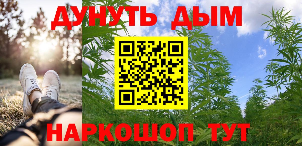 Конопля планчик  Конопля ГИДРОПОН  Еманжелинск  Вход с VPN  МАРИХУАНА Amnesia 